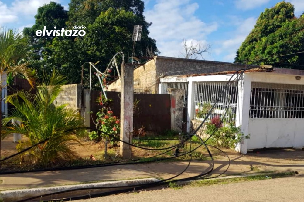 Cola de papagayo ocasionó cortocircuito en nueve viviendas de Anzoátegui