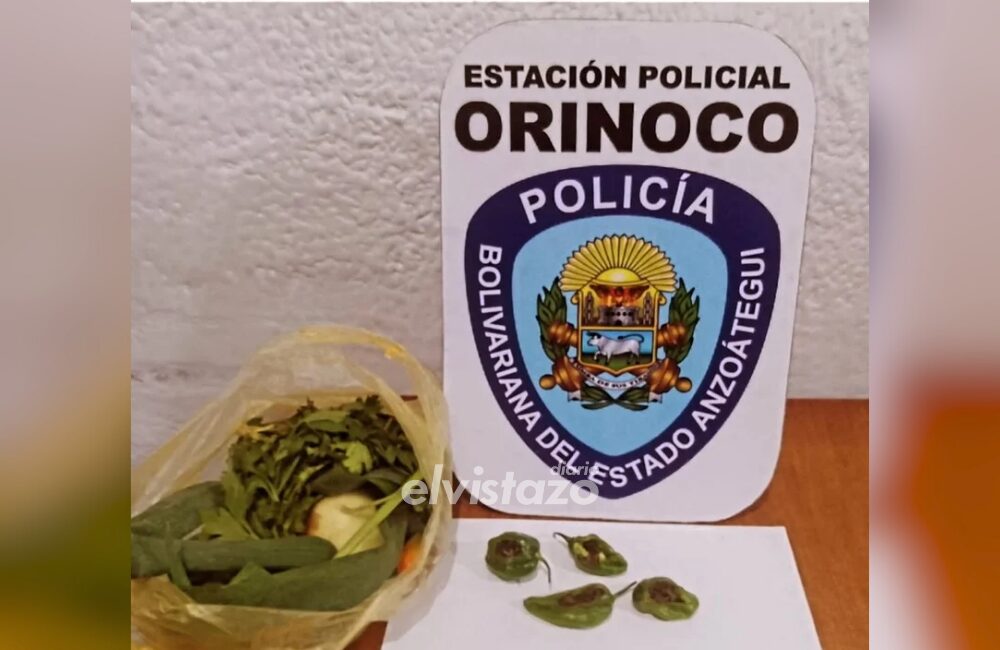 Detenida en Anzoátegui por intentar introducir droga a un retén policial oculta en ají dulce