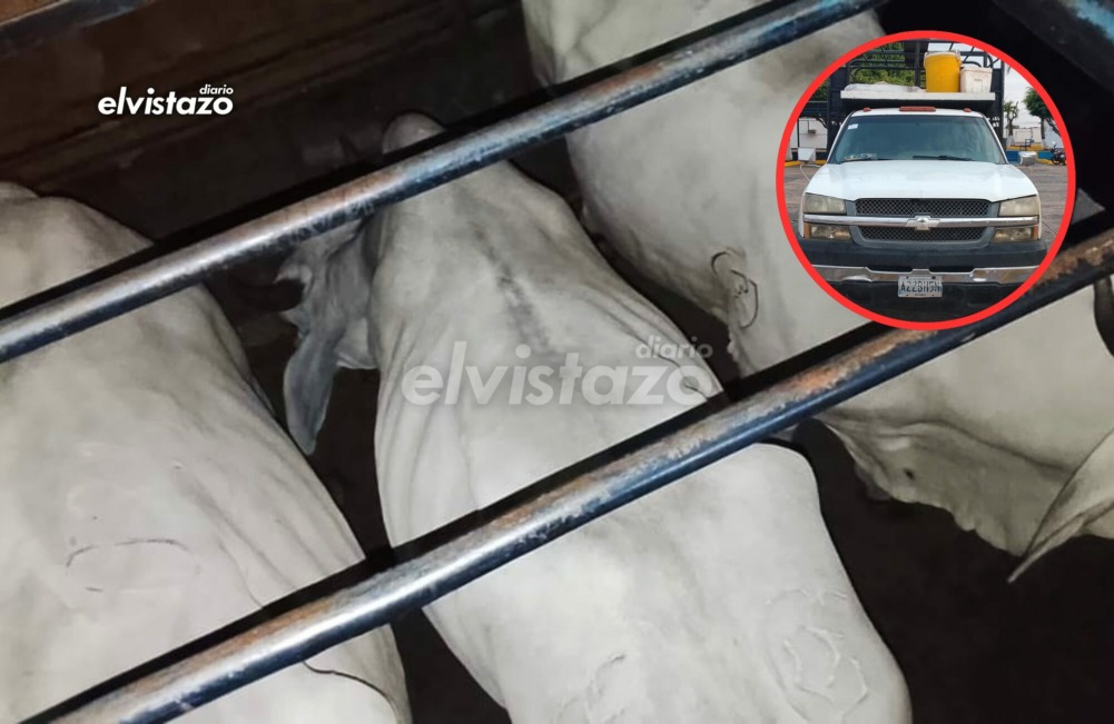Tres ciudadanos y un funcionario INSAI detenidos en Polianzoátegui El Tigre por irregularidades en guías de movilización de ganado